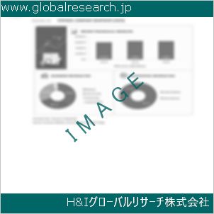 グローバルリサーチ調査資料のイメージ